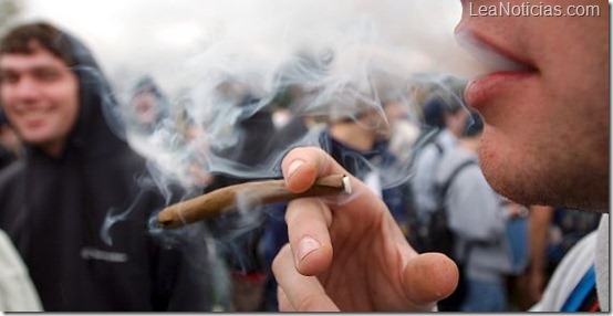 Jóvenes que consumen marihuana disminuyen su coeficiente intelectual