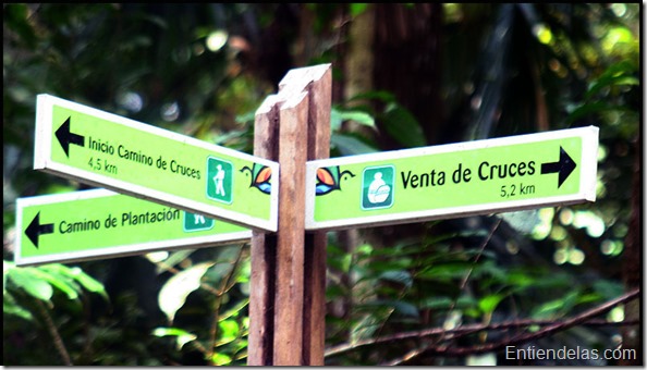 Conoce los parques nacionales de Panamá ¡Hermosos y maravillosos!