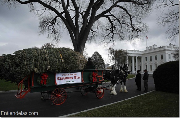 Michelle Obama recibió el árbol navideño que adornará el Salón Azul de Casa Blanca